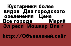 Кустарники более 100 видов. Для городского озеленения › Цена ­ 70 - Все города  »    . Марий Эл респ.,Йошкар-Ола г.